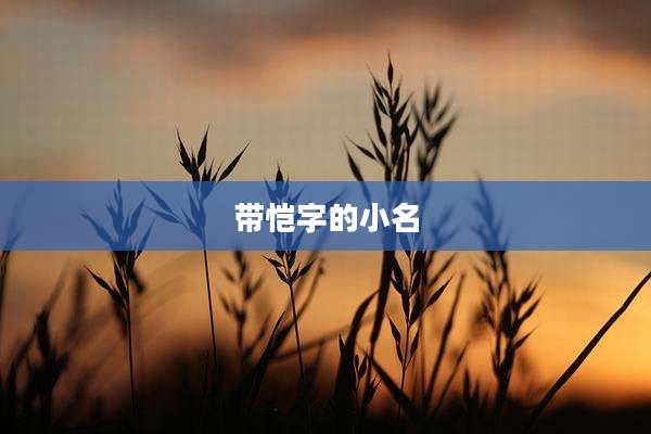带恺字的小名