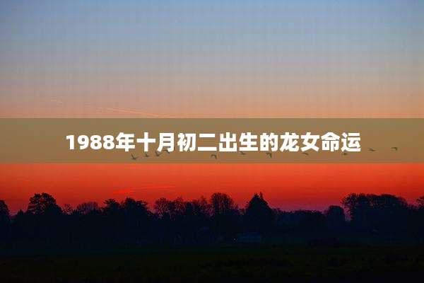 1988年十月初二出生的龙女命运