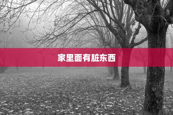家里面有脏东西