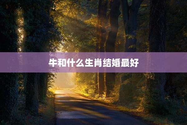 牛和什么生肖结婚最好
