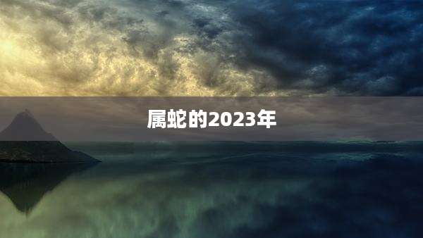 属蛇的2023年