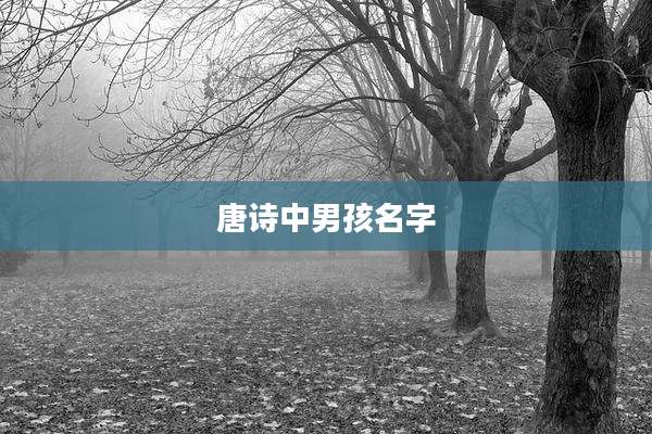 唐诗中男孩名字