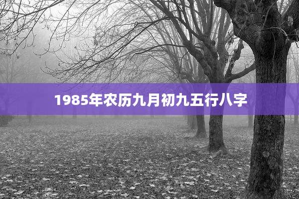 1985年农历九月初九五行八字