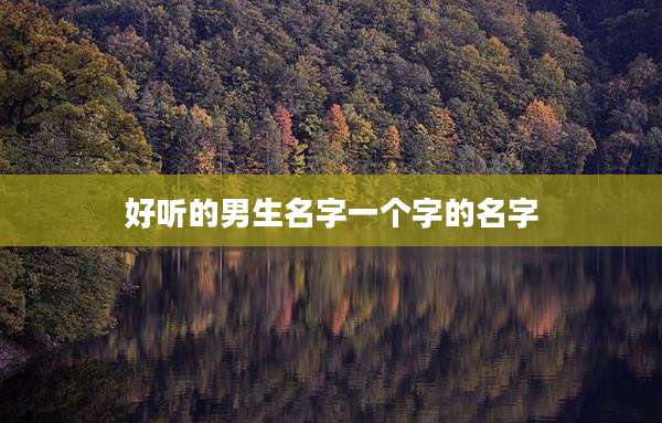 好听的男生名字一个字的名字