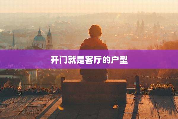 开门就是客厅的户型
