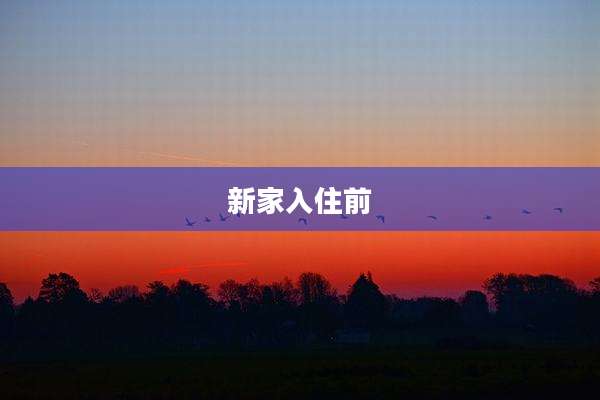 新家入住前