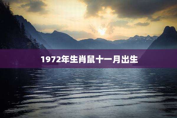 1972年生肖鼠十一月出生
