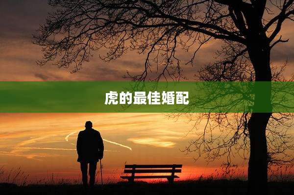 虎的最佳婚配
