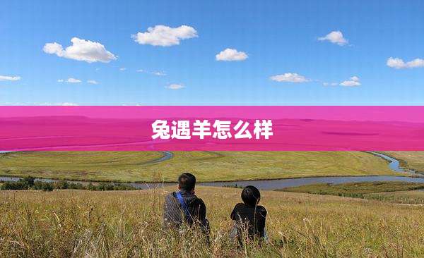 兔遇羊怎么样