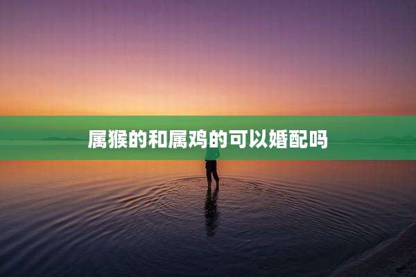 属猴的和属鸡的可以婚配吗