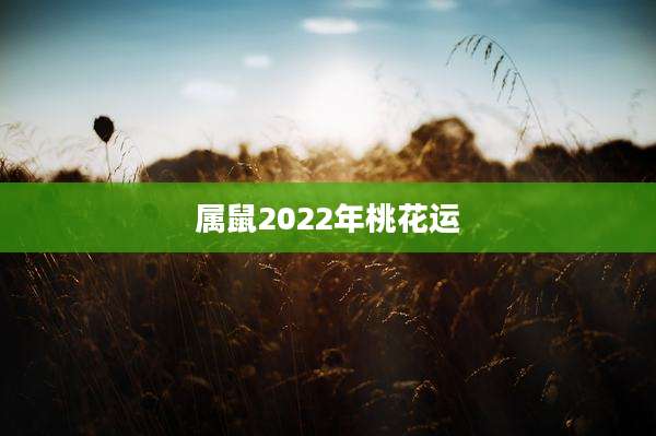 属鼠2022年桃花运