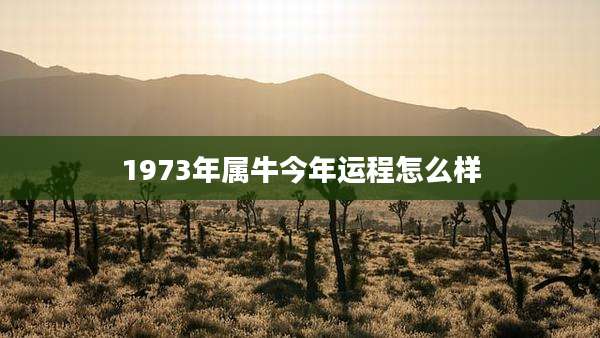 1973年属牛今年运程怎么样