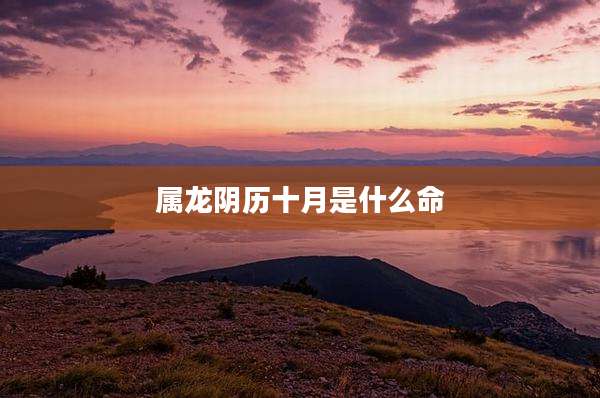 属龙阴历十月是什么命