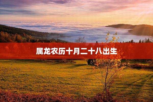 属龙农历十月二十八出生