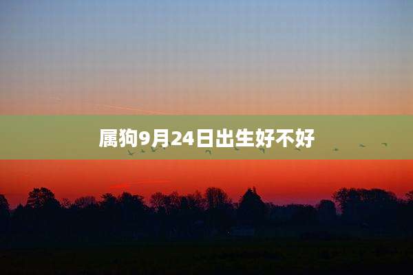 属狗9月24日出生好不好