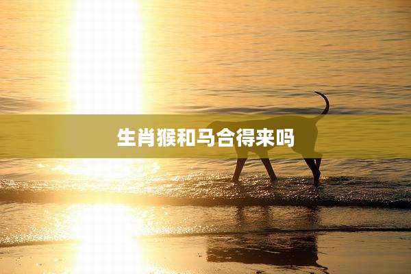 生肖猴和马合得来吗