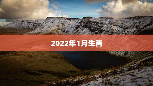 2022年1月生肖