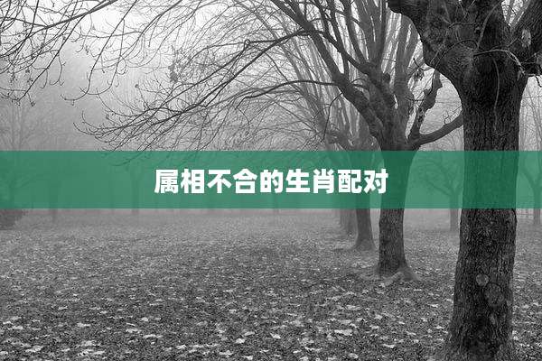 属相不合的生肖配对