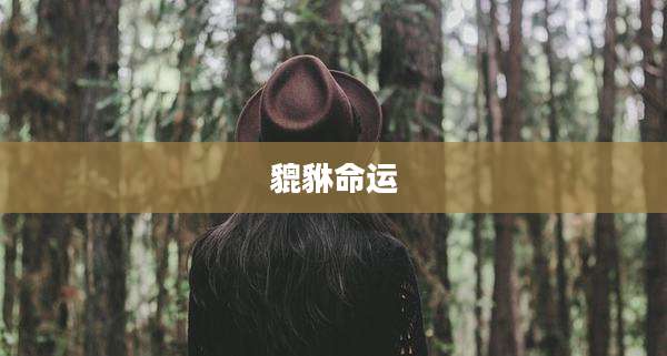 貔貅命运