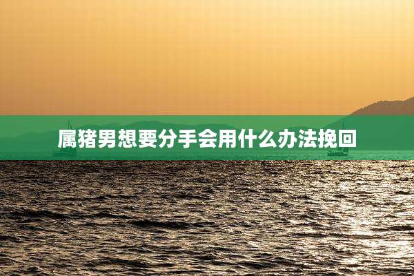 属猪男想要分手会用什么办法挽回