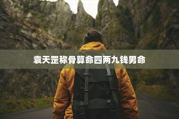 袁天罡称骨算命四两九钱男命