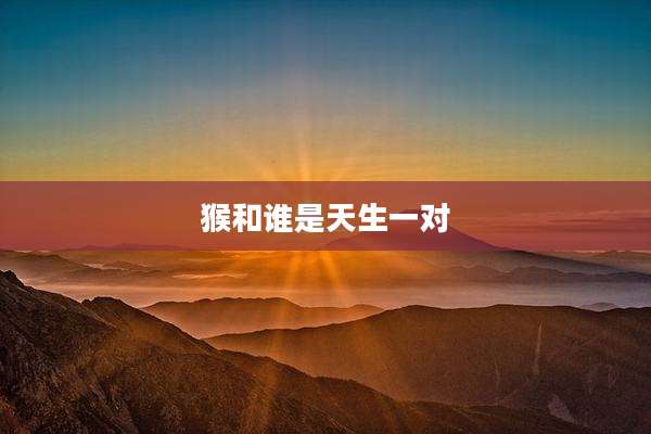 猴和谁是天生一对