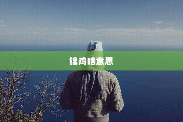锦鸡啥意思