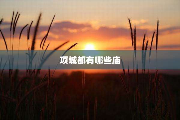 项城都有哪些庙