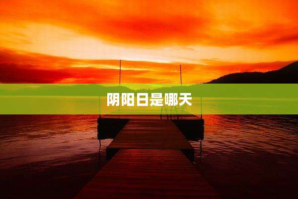 阴阳日是哪天
