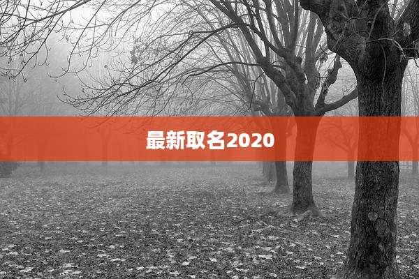 最新取名2020