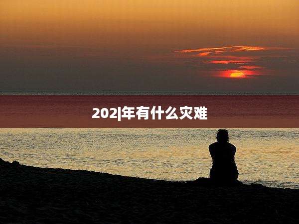 202|年有什么灾难