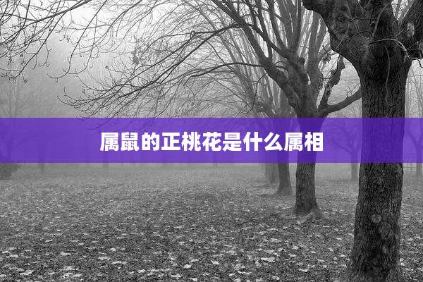 属鼠的正桃花是什么属相