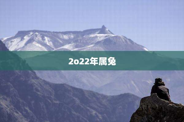 2o22年属兔