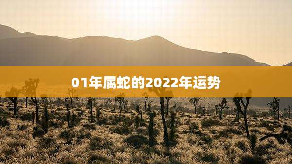 01年属蛇的2022年运势