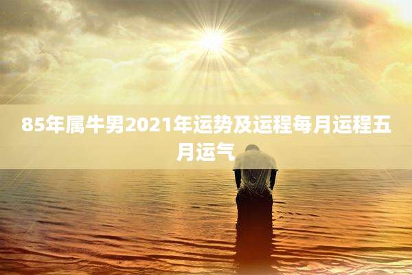 85年属牛男2021年运势及运程每月运程五月运气