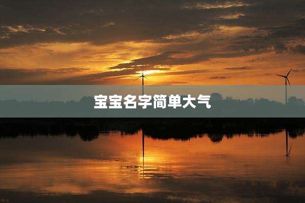 宝宝名字简单大气