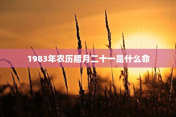 1983年农历腊月二十一是什么命