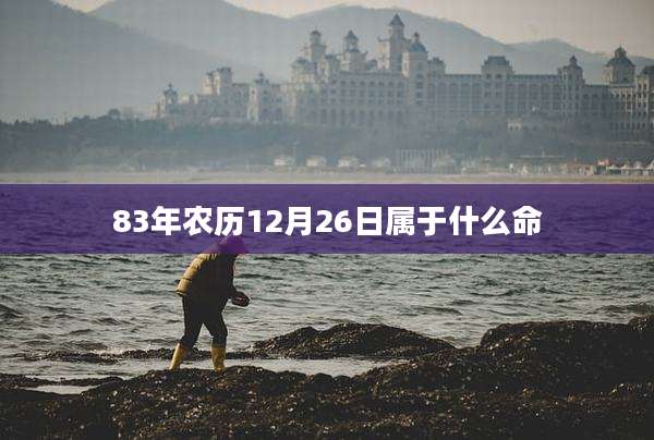 83年农历12月26日属于什么命