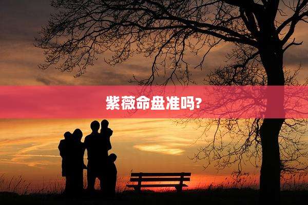 紫薇命盘准吗?