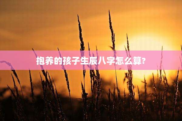 抱养的孩子生辰八字怎么算?