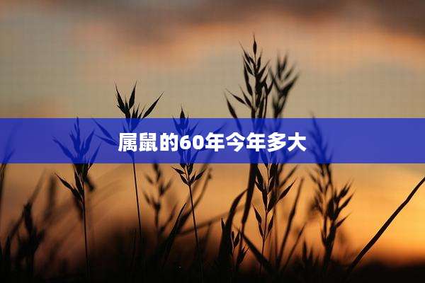 属鼠的60年今年多大