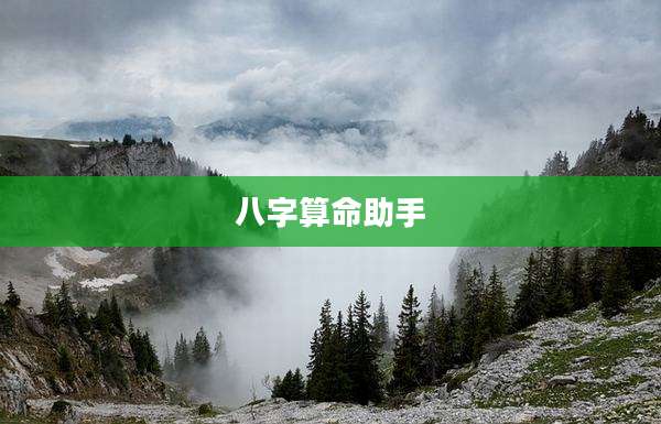 八字算命助手