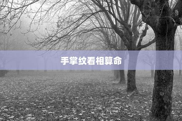 手掌纹看相算命