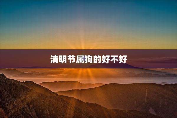 清明节属狗的好不好