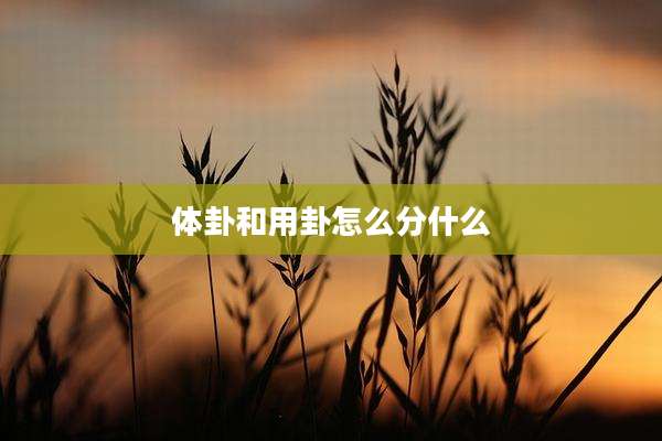 体卦和用卦怎么分什么