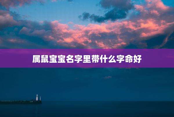 属鼠宝宝名字里带什么字命好