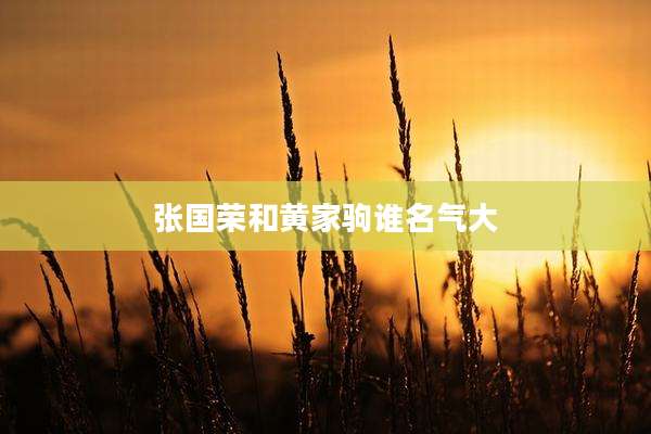 张国荣和黄家驹谁名气大