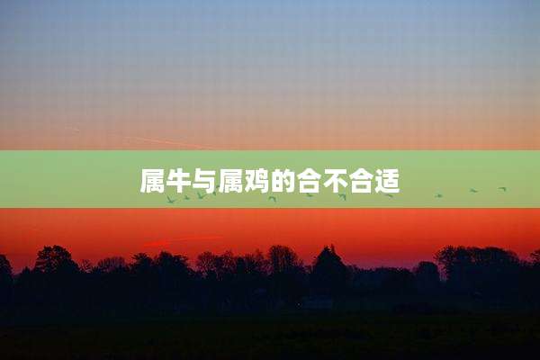 属牛与属鸡的合不合适