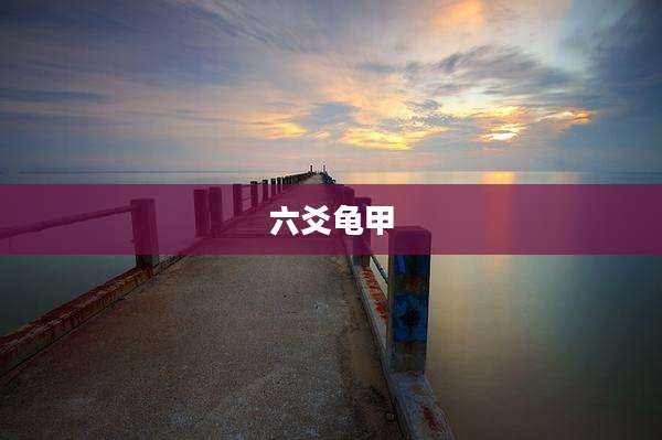 六爻龟甲
