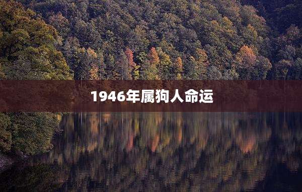 1946年属狗人命运